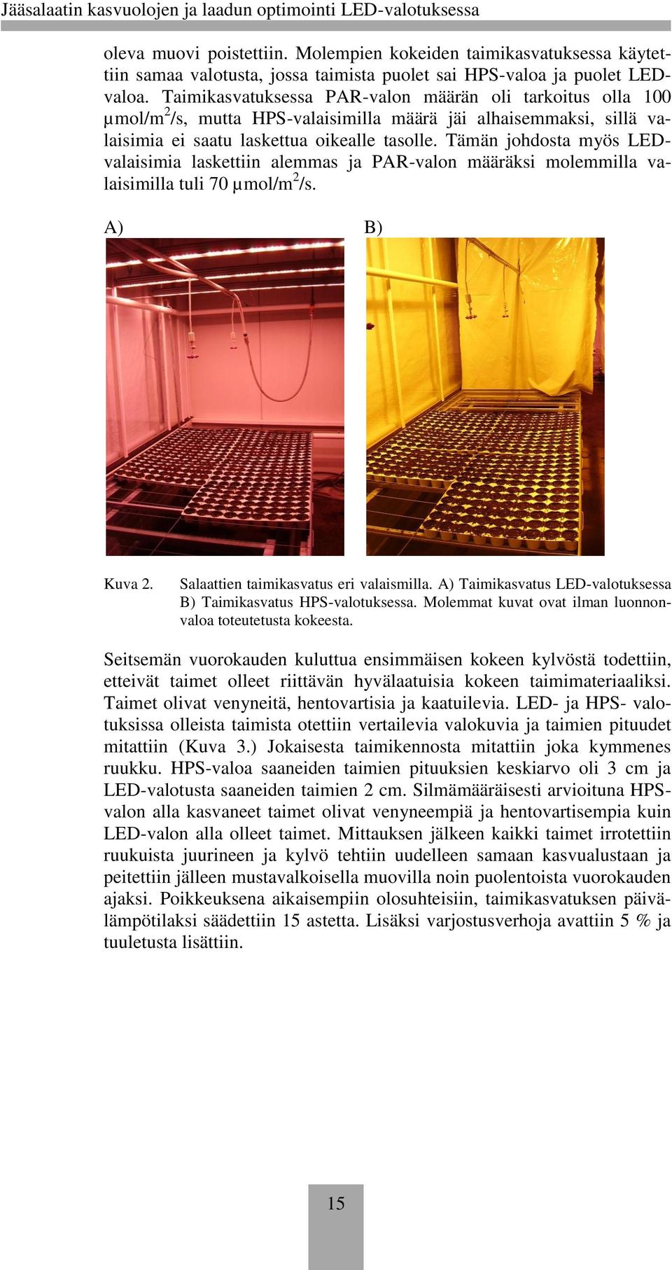 Tämän johdosta myös LEDvalaisimia laskettiin alemmas ja PAR-valon määräksi molemmilla valaisimilla tuli 70 µmol/m 2 /s. A) B) Kuva 2. Salaattien taimikasvatus eri valaismilla.