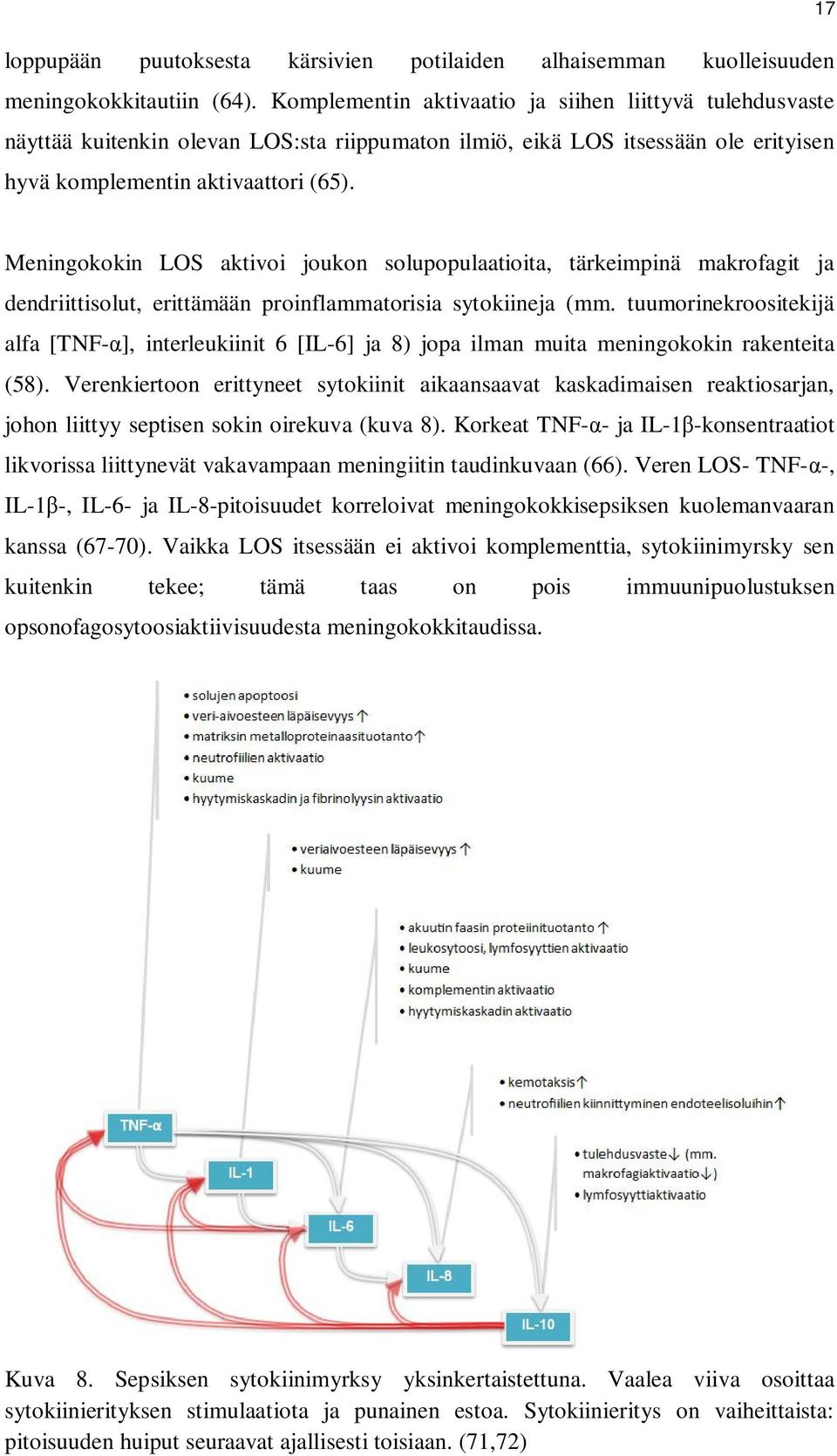 Meningokokin LOS aktivoi joukon solupopulaatioita, tärkeimpinä makrofagit ja dendriittisolut, erittämään proinflammatorisia sytokiineja (mm.