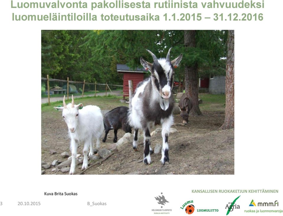 luomueläintiloilla