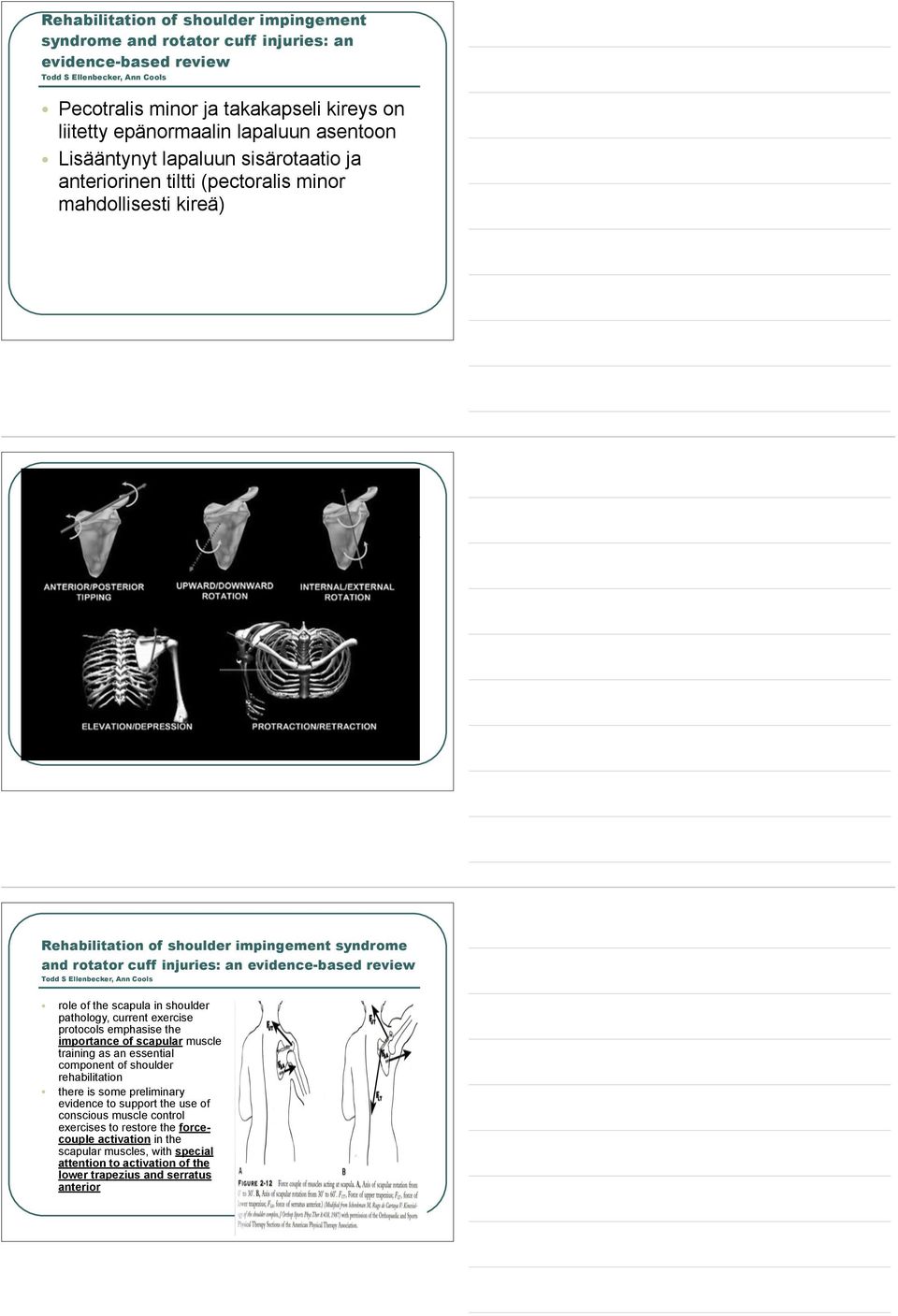 evidence-based review Todd S Ellenbecker, Ann Cools role of the scapula in shoulder pathology, current exercise protocols emphasise the importance of scapular muscle training as an essential