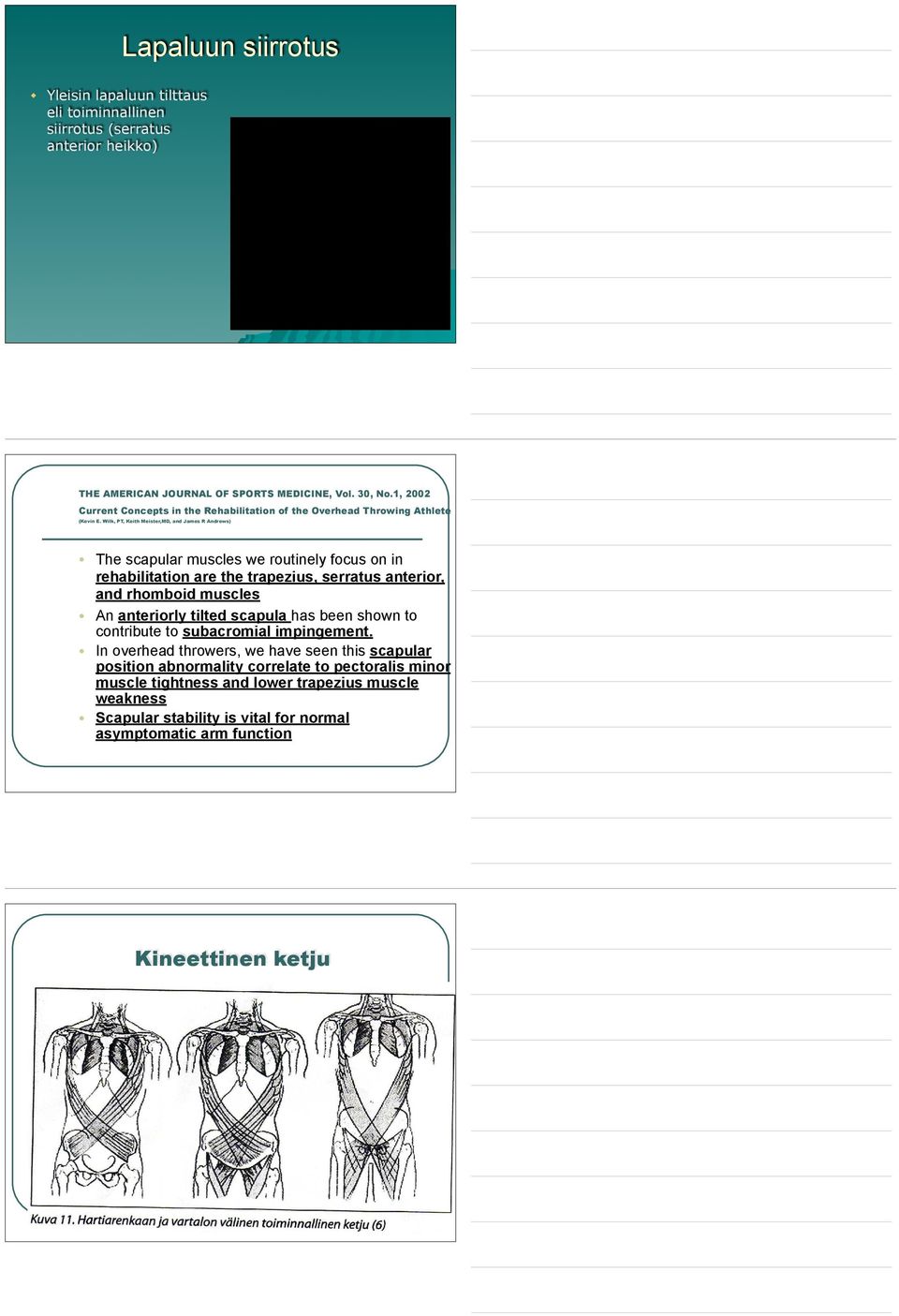 Wilk, PT, Keith Meister,MD, and James R Andrews) The scapular muscles we routinely focus on in rehabilitation are the trapezius, serratus anterior, and rhomboid muscles An anteriorly