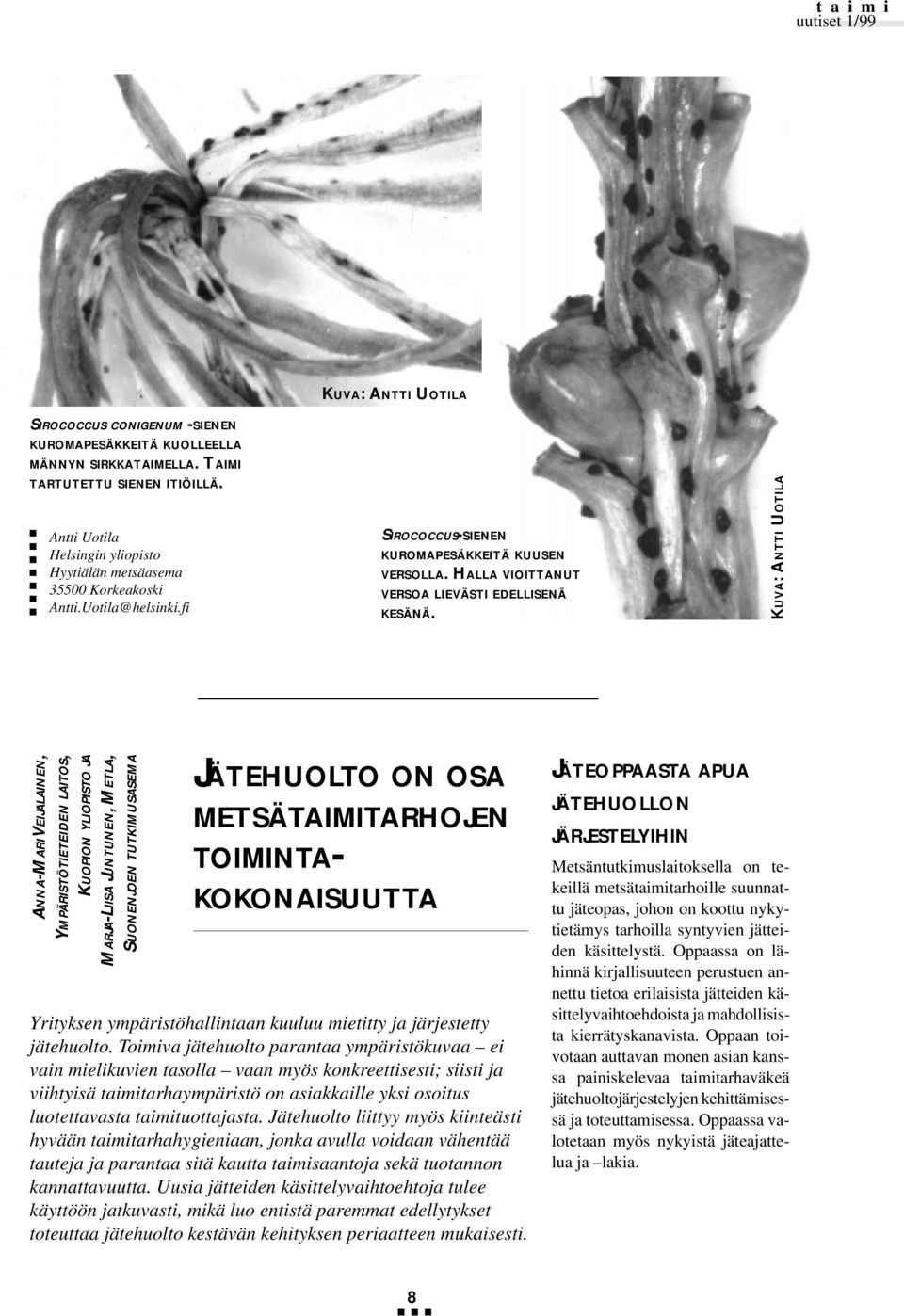 KUVA: ANTTI UOTILA ANNA-MARI V EIJALAINEN, YMPÄRISTÖTIETEIDEN LAITOS, KUOPION YLIOPISTO JA MARJA-LIISA JUNTUNEN, METLA, SUONENJOEN TUTKIMUSASEMA JÄTEHUOLTO ON OSA METSÄTAIMITARHOJEN TOIMINTA-