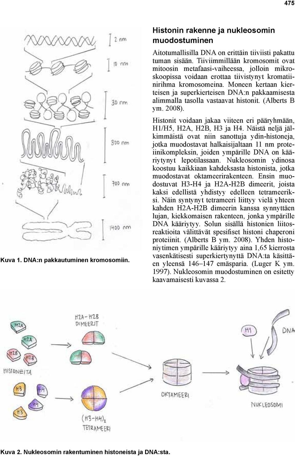 Moneen kertaan kierteisen ja superkierteisen DNA:n pakkaamisesta alimmalla tasolla vastaavat histonit. (Alberts B ym. 2008). Histonit voidaan jakaa viiteen eri pääryhmään, H1/H5, H2A, H2B, H3 ja H4.