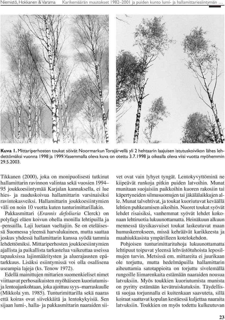 1998 ja oikealla oleva viisi vuotta myöhemmin 29.5.2003.