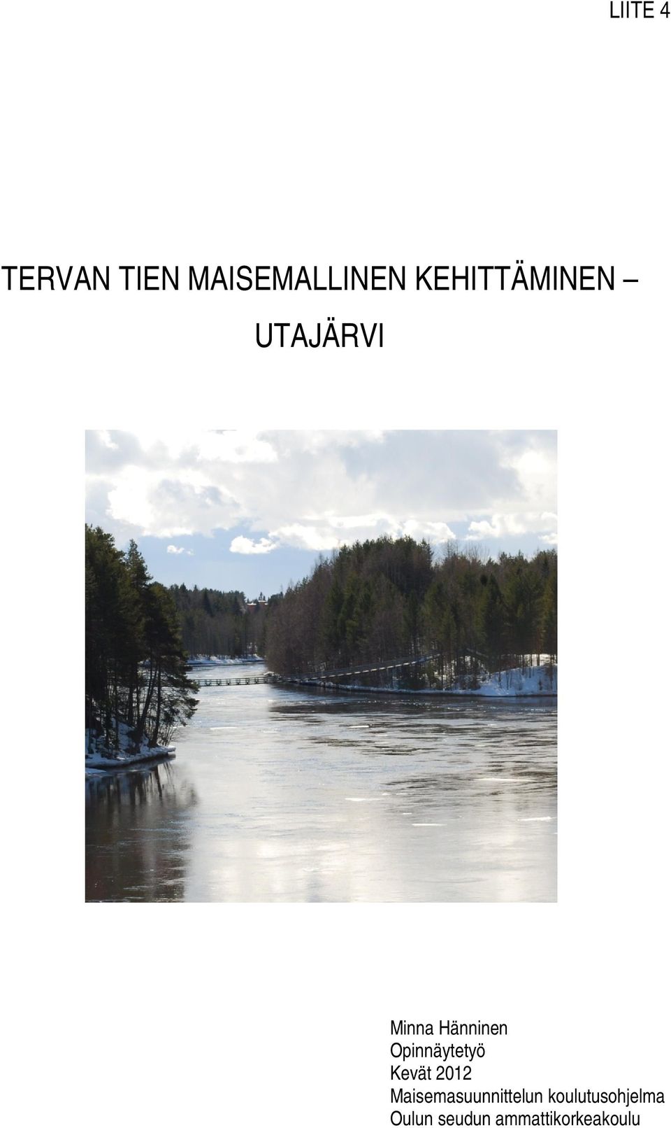 Opinnäytetyö Kevät 2012