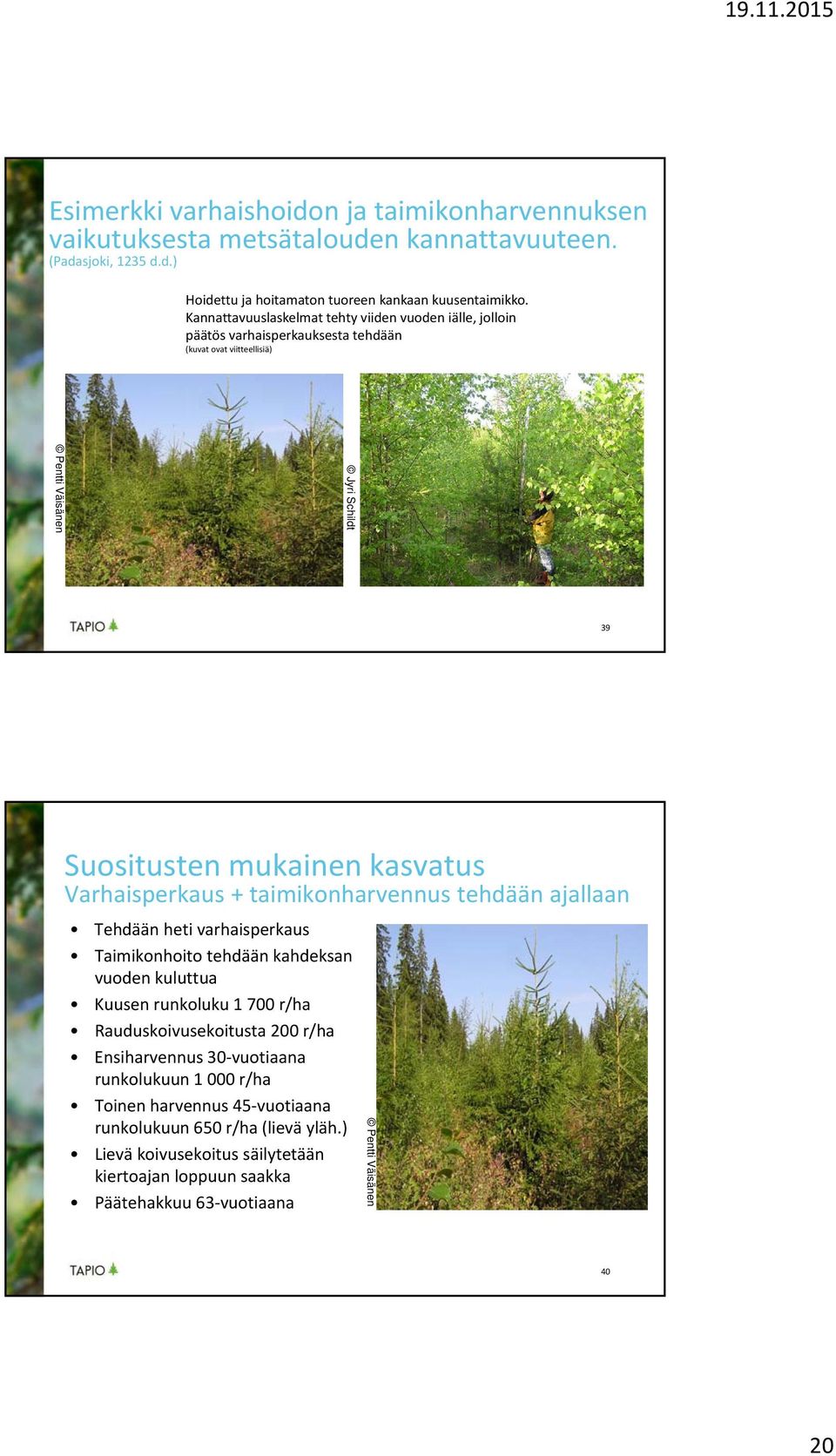 Varhaisperkaus + taimikonharvennus tehdään ajallaan Tehdään heti varhaisperkaus Taimikonhoito tehdään kahdeksan vuoden kuluttua Kuusen runkoluku 1 700 r/ha Rauduskoivusekoitusta 200 r/ha