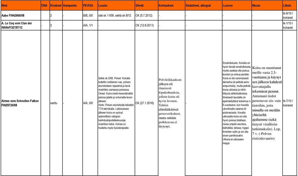 Polvet: Koiralla todettiin osittainen vas. polven eturistisiteen repeämä ja lievä nivelrikko samassa polvessa. Oireet: Koira oireili keventämällä painoa jalalla ja ontumalla levon jälkeen. OK (27.1.