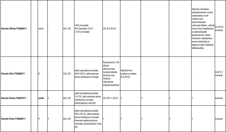 6.2013) - - - Steriloitu hankalien valeraskauksien vuoksi (valeraskaus nosti maidot nisiin ensimmäisestä juoksusta lähtien, vaikutti tk-10/14 / myös koiran käytökseen ja valeraskaudet pahenivat iän