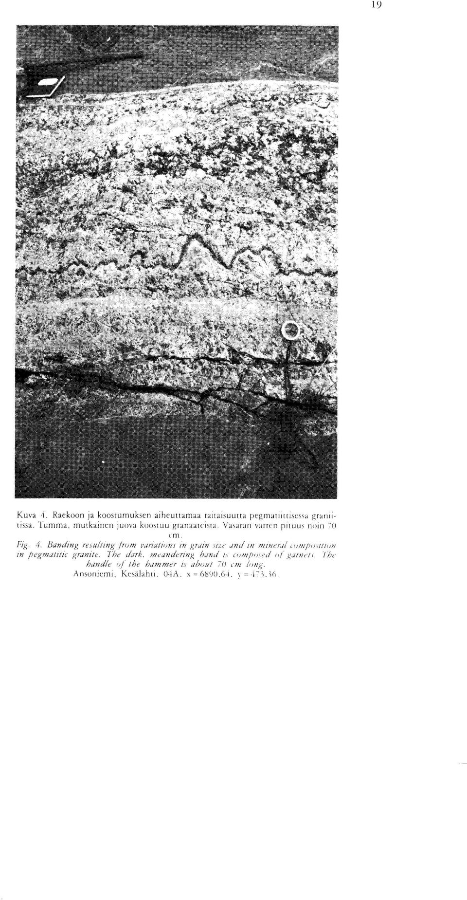 variation] in grain r and in miner l e mpovtion in pegmatitic granite the dark meandering