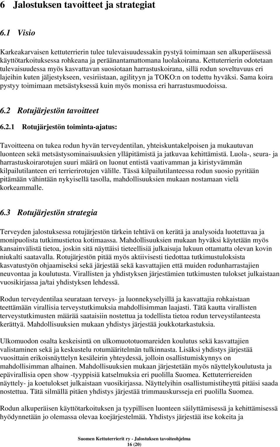 Kettuterrierin odotetaan tulevaisuudessa myös kasvattavan suosiotaan harrastuskoirana, sillä rodun soveltuvuus eri lajeihin kuten jäljestykseen, vesiriistaan, agilityyn ja TOKO:n on todettu hyväksi.