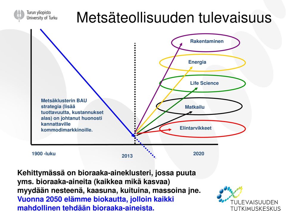 Matkailu Elintarvikkeet 1900 -luku 2013 2020 Kehittymässä on bioraaka-aineklusteri, jossa puuta yms.