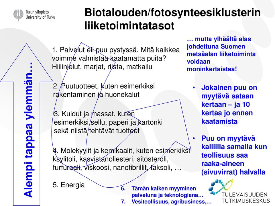 Molekyylit ja kemikaalit, kuten esimerkiksi ksylitoli, kasvistanoliesteri, sitosteroli, furfuraali, viskoosi, nanofibrillit, taksoli, 5. Energia Biotalouden/fotosynteesiklusterin liiketoimintatasot 6.