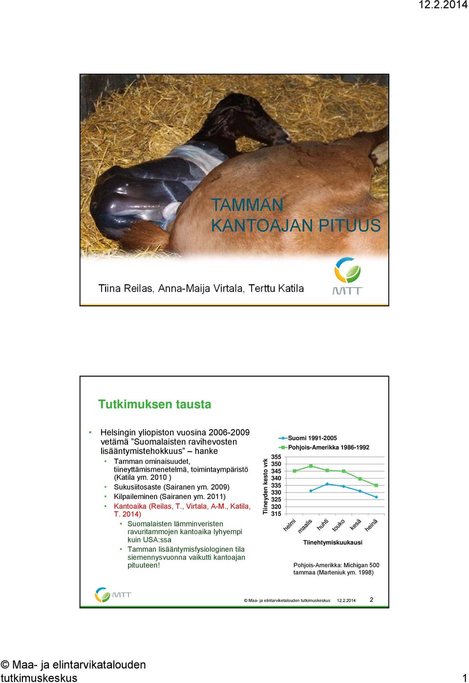 , Katila, T. 214) Suomalaisten lämminveristen ravuritammojen kantoaika lyhyempi kuin USA:ssa Tamman lisääntymisfysiologinen tila siemennysvuonna vaikutti kantoajan pituuteen!
