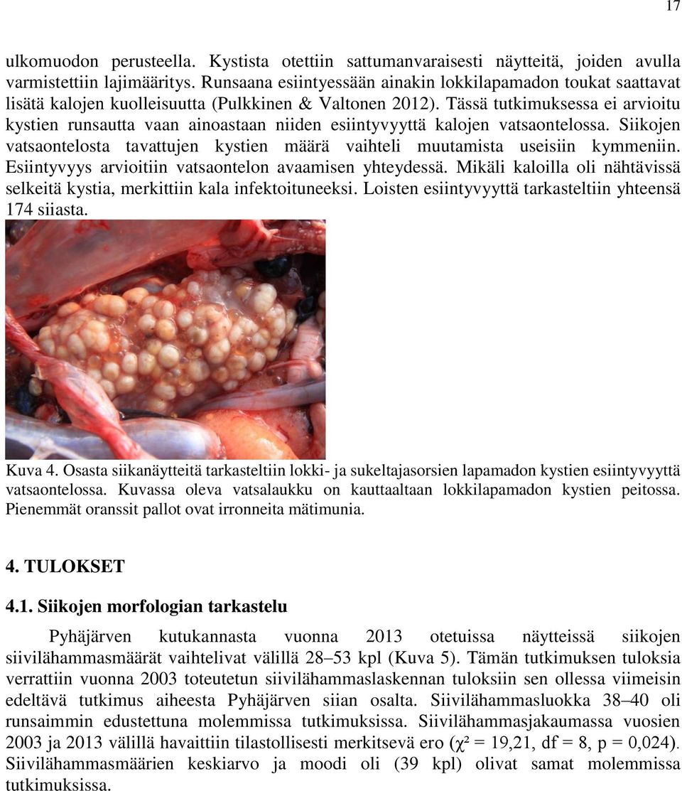 Tässä tutkimuksessa ei arvioitu kystien runsautta vaan ainoastaan niiden esiintyvyyttä kalojen vatsaontelossa. Siikojen vatsaontelosta tavattujen kystien määrä vaihteli muutamista useisiin kymmeniin.