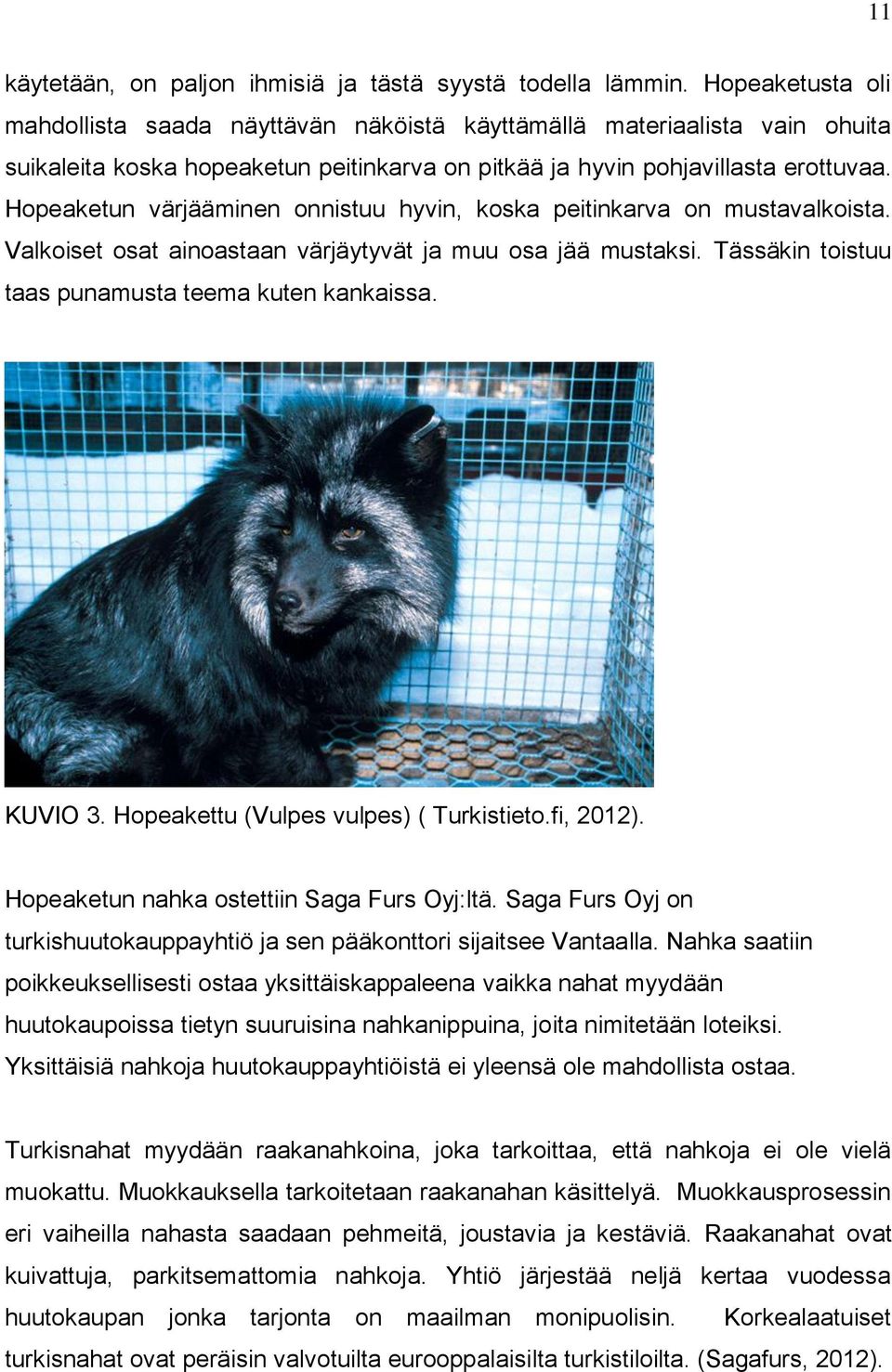 Hopeaketun värjääminen onnistuu hyvin, koska peitinkarva on mustavalkoista. Valkoiset osat ainoastaan värjäytyvät ja muu osa jää mustaksi. Tässäkin toistuu taas punamusta teema kuten kankaissa.