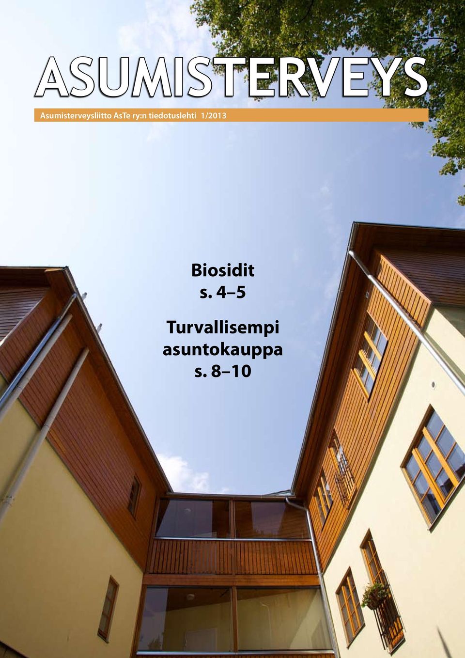 ry:n tiedotuslehti 1/2013