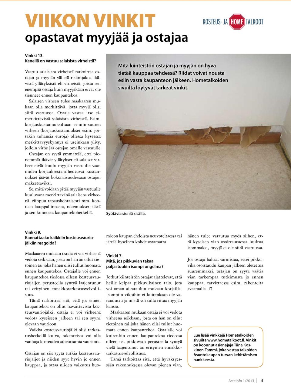 Salaisen virheen tulee maakaaren mukaan olla merkittävä, jotta myyjä olisi siitä vastuussa. Ostaja vastaa itse eimerkittävistä salaisista virheistä. Esim.