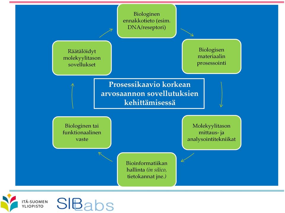 prosessointi Prosessikaavio korkean arvosaannon sovellutuksien kehittämisessä