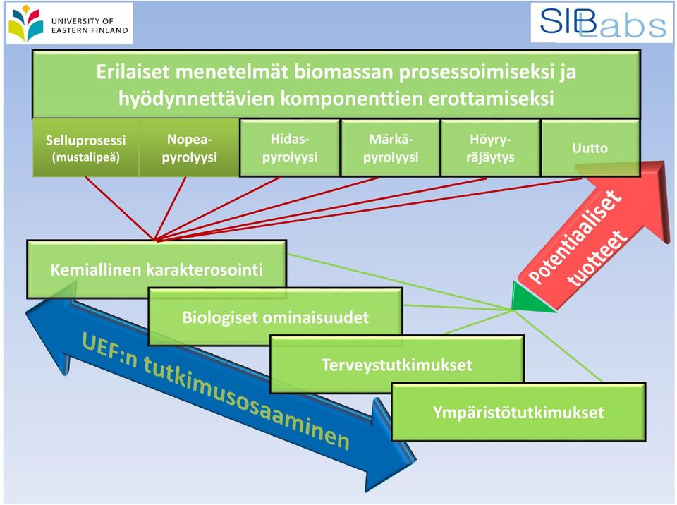 Hidaspyrolyysi Märkäpyrolyysi Höyryräjäytys Uutto Kemiallinen