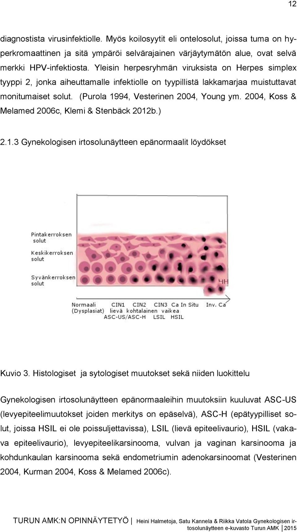 2004, Koss & Melamed 2006c, Klemi & Stenbäck 2012b.) 2.1.3 Gynekologisen irtosolunäytteen epänormaalit löydökset Kuvio 3.