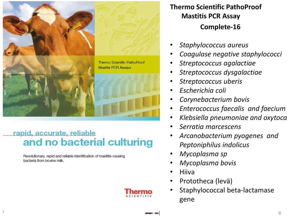 Enterococcus faecalis and faecium Klebsiella pneumoniae and oxytoca Serratia marcescens Arcanobacterium pyogenes