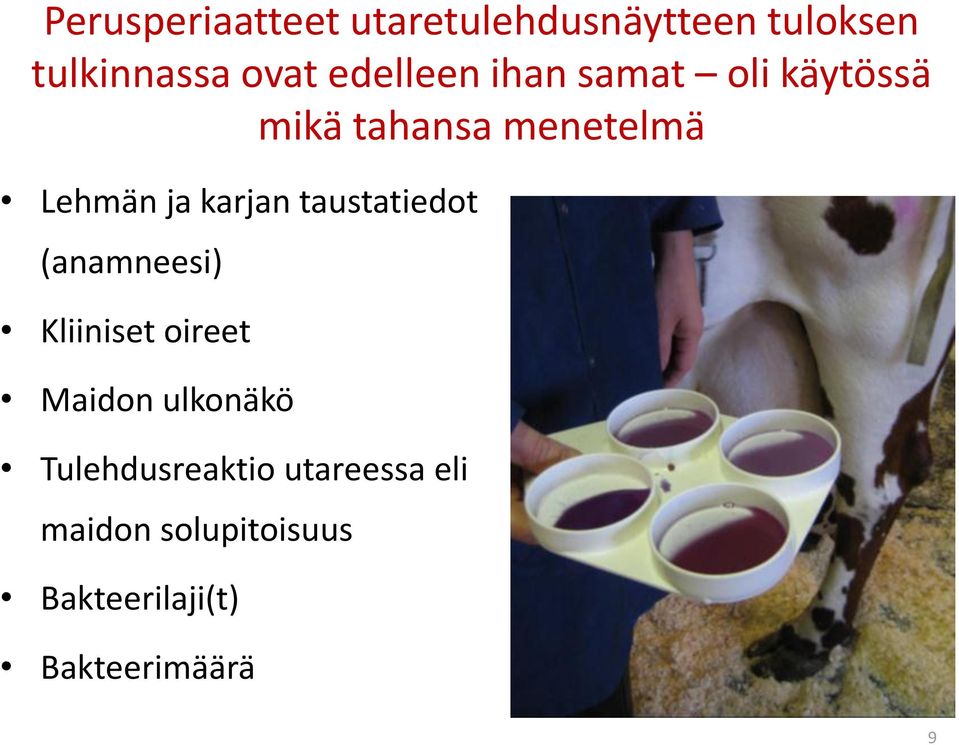 karjan taustatiedot (anamneesi) Kliiniset oireet Maidon ulkonäkö