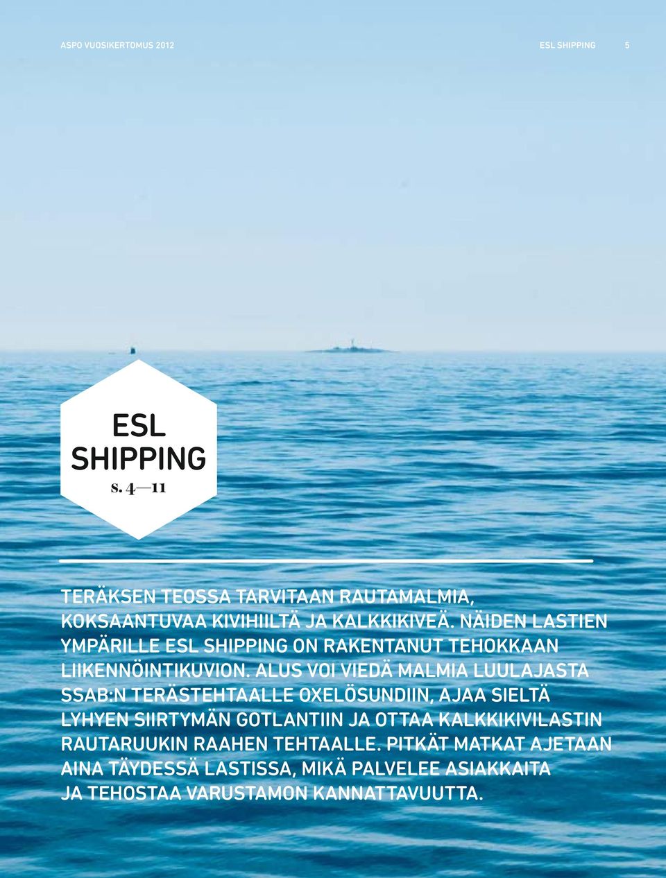 NÄIDEN LASTIEN YMPÄRILLE ESL SHIPPING ON RAKENTANUT TEHOKKAAN LIIKENNÖINTIKUVION.