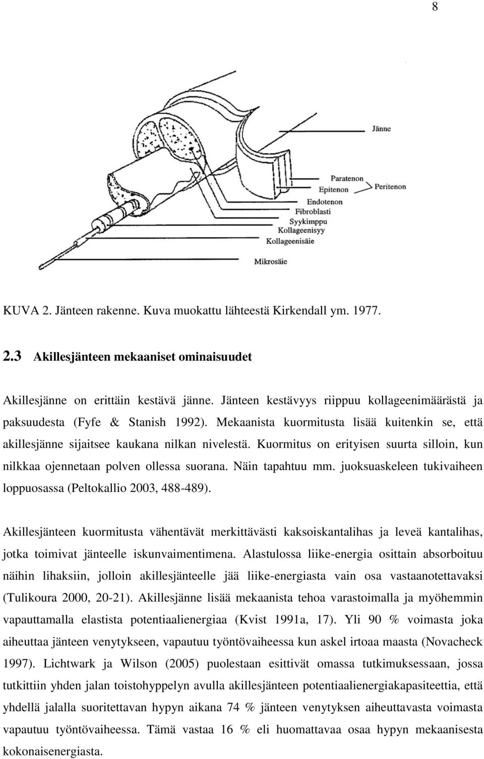 Kuormitus on erityisen suurta silloin, kun nilkkaa ojennetaan polven ollessa suorana. Näin tapahtuu mm. juoksuaskeleen tukivaiheen loppuosassa (Peltokallio 2003, 488-489).