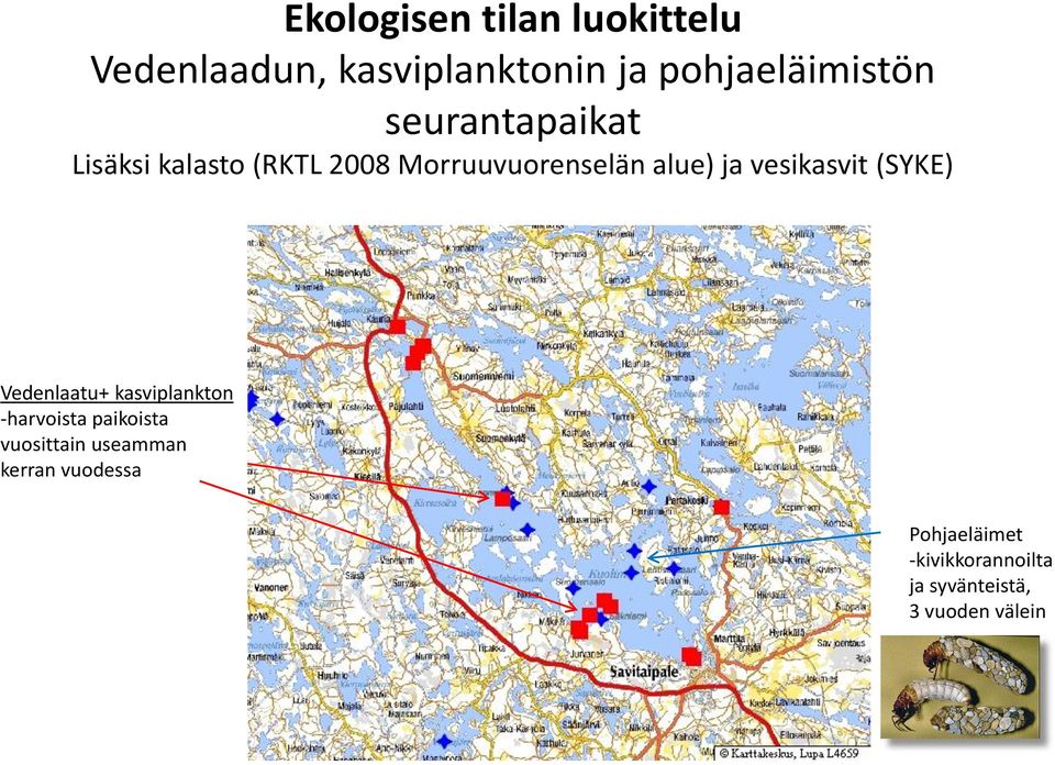 vesikasvit (SYKE) Vedenlaatu+ kasviplankton -harvoista paikoista vuosittain