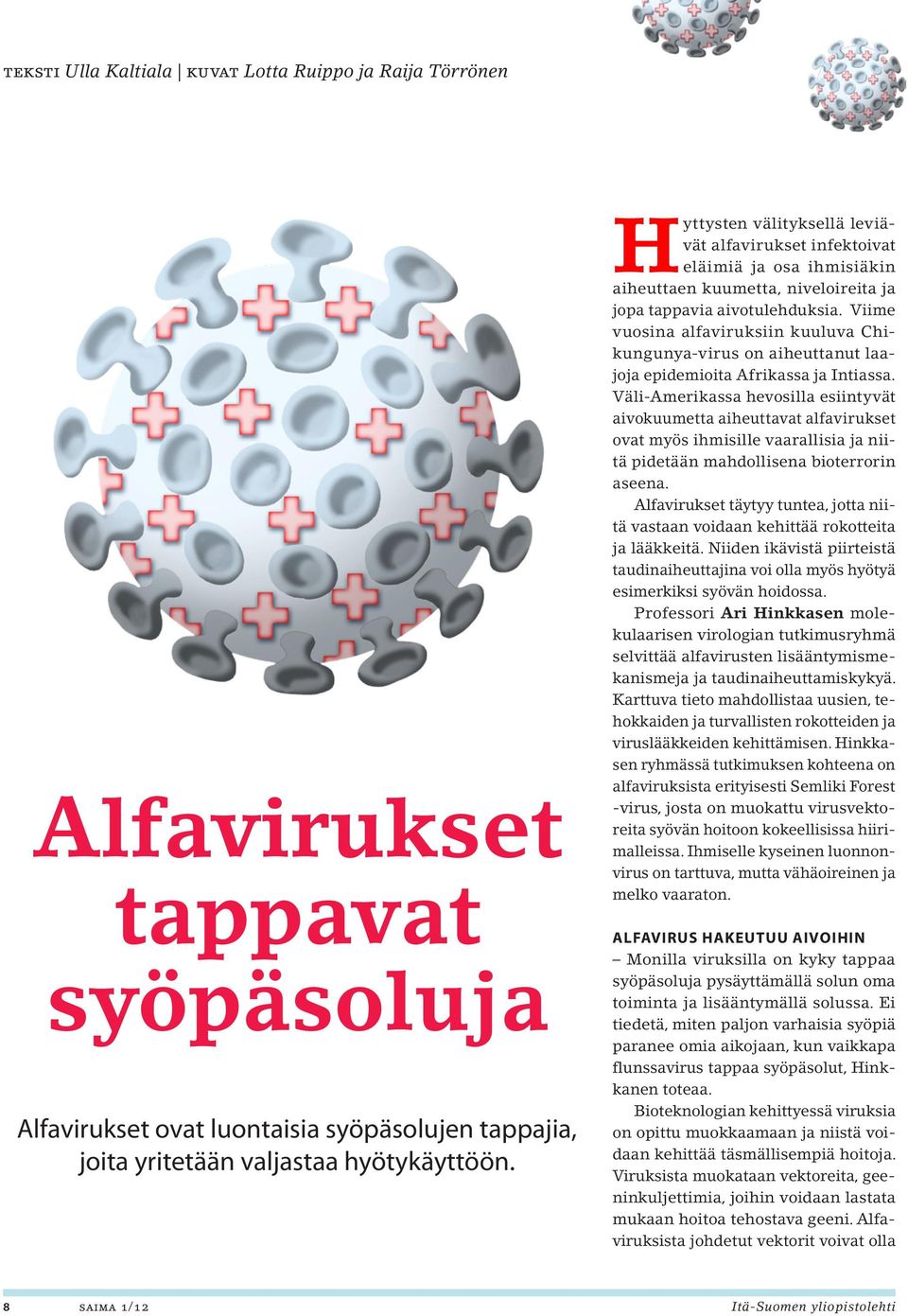 Viime vuosina alfaviruksiin kuuluva Chikungunya-virus on aiheuttanut laajoja epidemioita Afrikassa ja Intiassa.