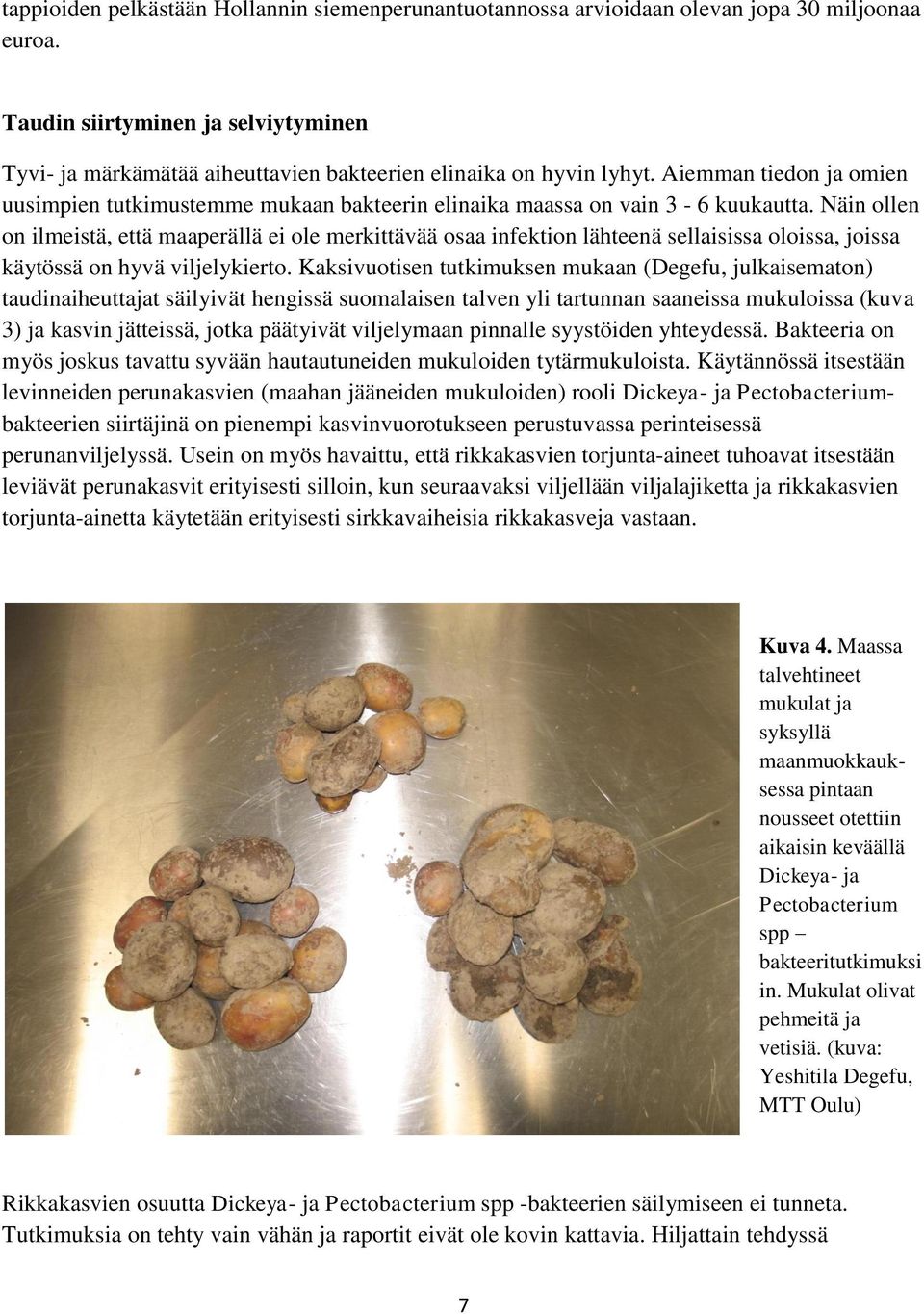 Aiemman tiedon ja omien uusimpien tutkimustemme mukaan bakteerin elinaika maassa on vain 3-6 kuukautta.