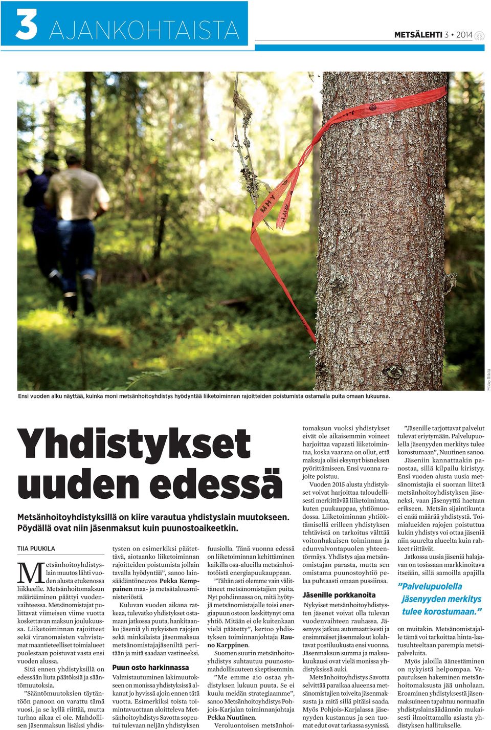 TIIA PUUKILA Metsänhoitoyhdistyslain muutos lähti vuoden alusta etukenossa liikkeelle. Metsänhoitomaksun määrääminen päättyi vuodenvaihteessa.