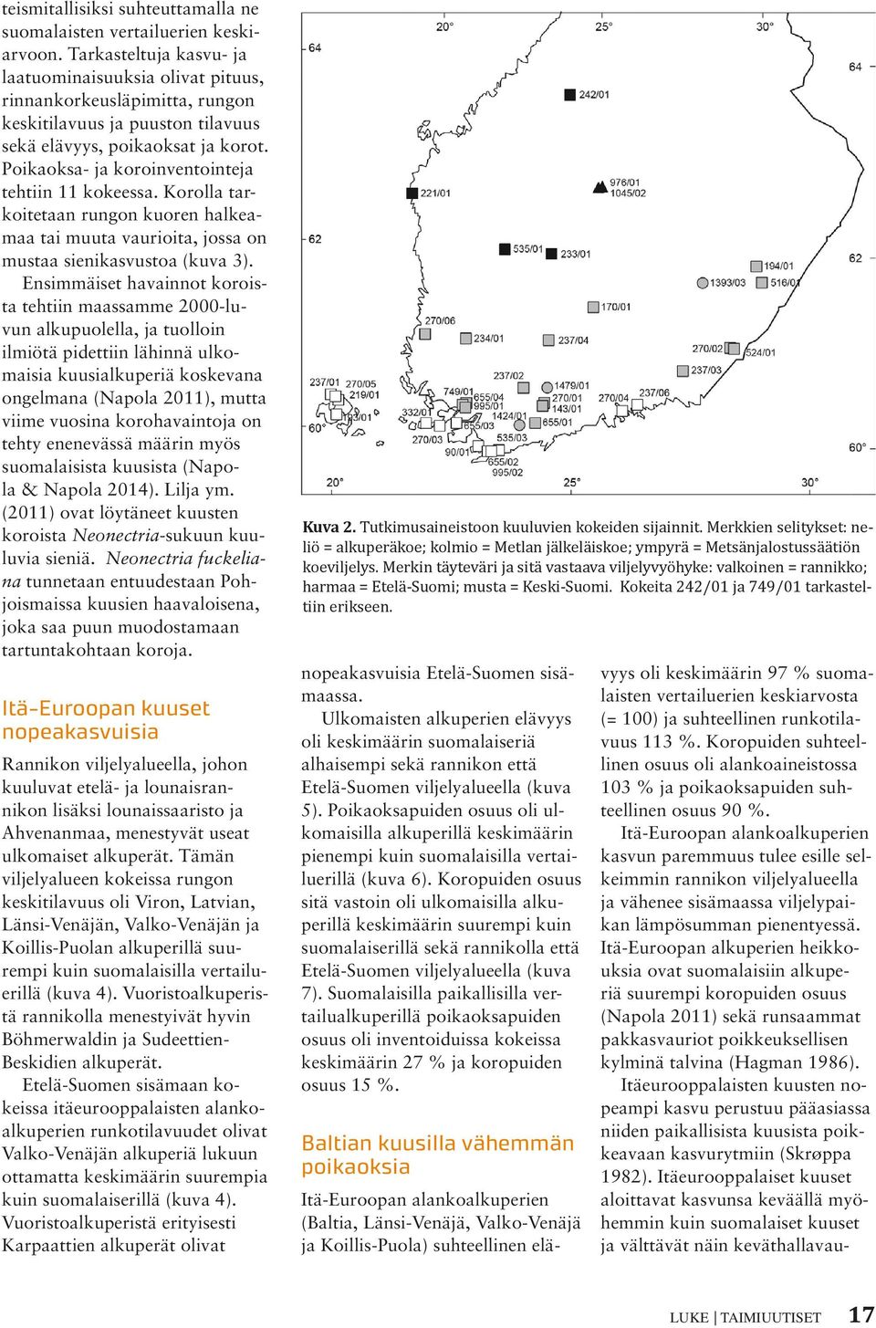 Poikaoksa- ja koroinventointeja tehtiin 11 kokeessa. Korolla tarkoitetaan rungon kuoren halkeamaa tai muuta vaurioita, jossa on mustaa sienikasvustoa (kuva 3).