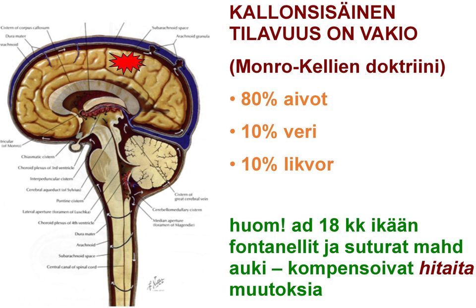 veri 10% likvor huom!