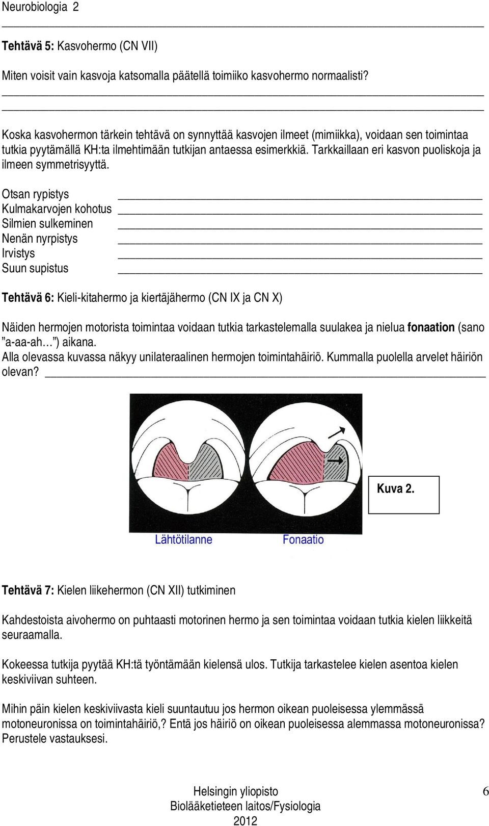 Tarkkaillaan eri kasvon puoliskoja ja ilmeen symmetrisyyttä.