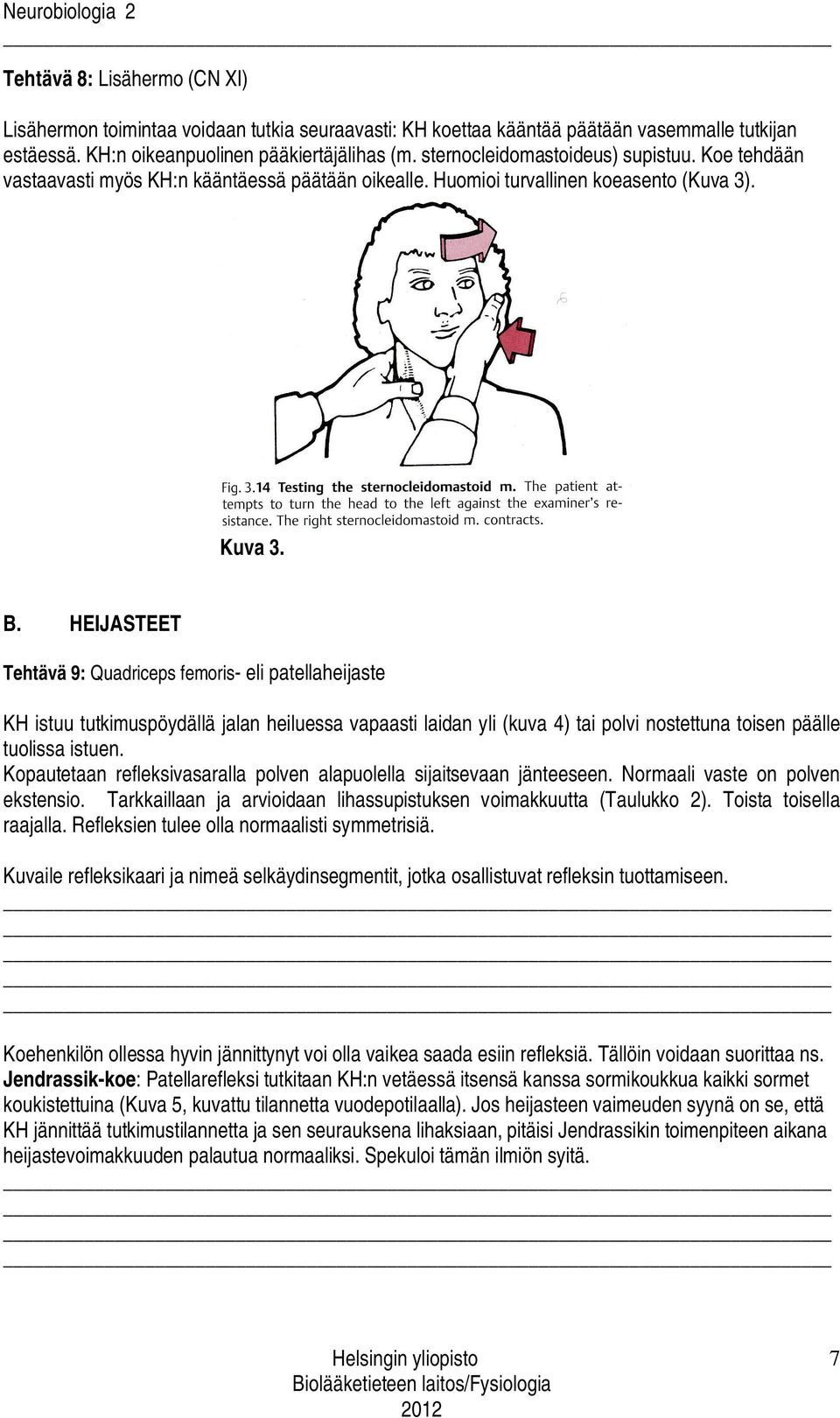 HEIJASTEET Tehtävä 9: Quadriceps femoris- eli patellaheijaste KH istuu tutkimuspöydällä jalan heiluessa vapaasti laidan yli (kuva 4) tai polvi nostettuna toisen päälle tuolissa istuen.