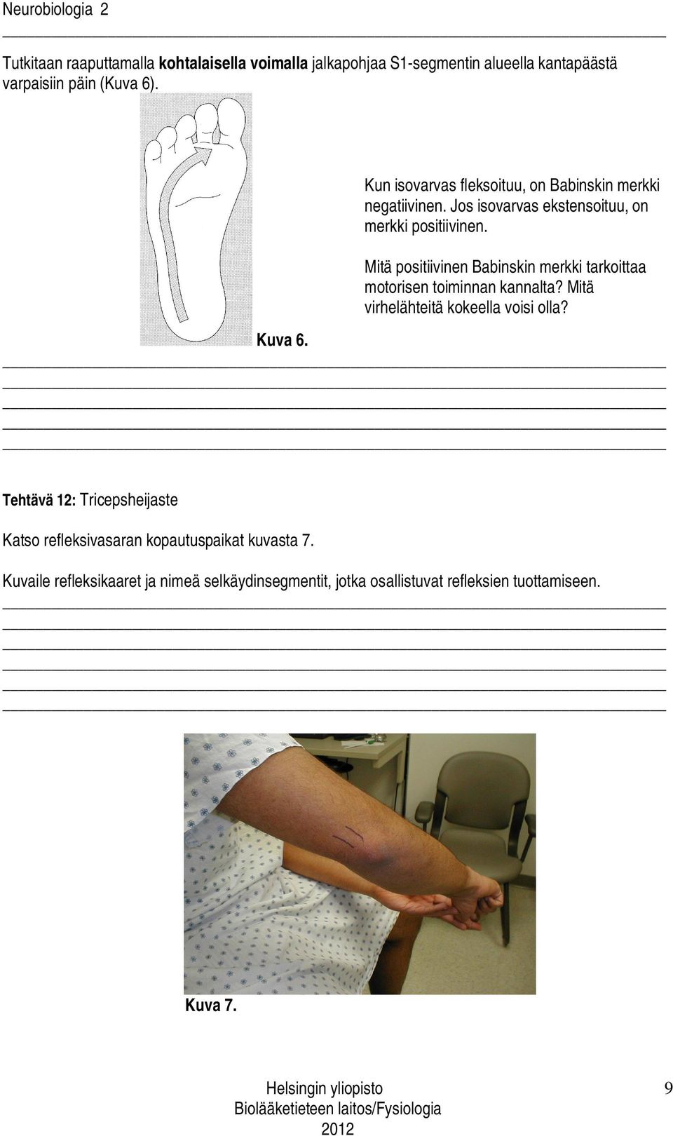 Mitä positiivinen Babinskin merkki tarkoittaa motorisen toiminnan kannalta? Mitä virhelähteitä kokeella voisi olla? Kuva 6.