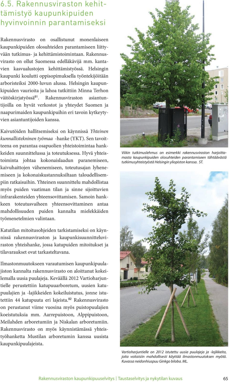 Helsingin kaupunki koulutti oppisopimuksella työntekijöitään arboristeiksi 2000-luvun alussa. Helsingin kaupunkipuiden vaurioita ja lahoa tutkittiin Minna Terhon väitöskirjatyössä 81.