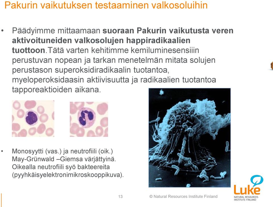 tätä varten kehitimme kemiluminesensiiin perustuvan nopean ja tarkan menetelmän mitata solujen perustason superoksidiradikaalin