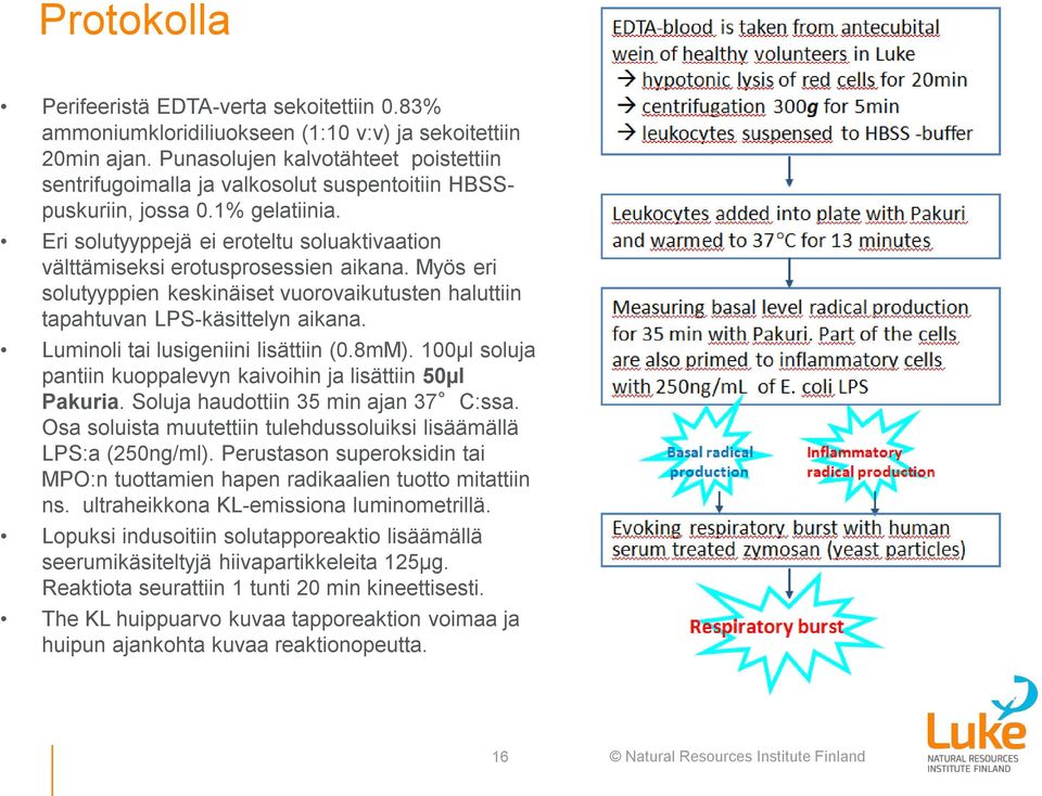 Eri solutyyppejä ei eroteltu soluaktivaation välttämiseksi erotusprosessien aikana. Myös eri solutyyppien keskinäiset vuorovaikutusten haluttiin tapahtuvan LPS-käsittelyn aikana.