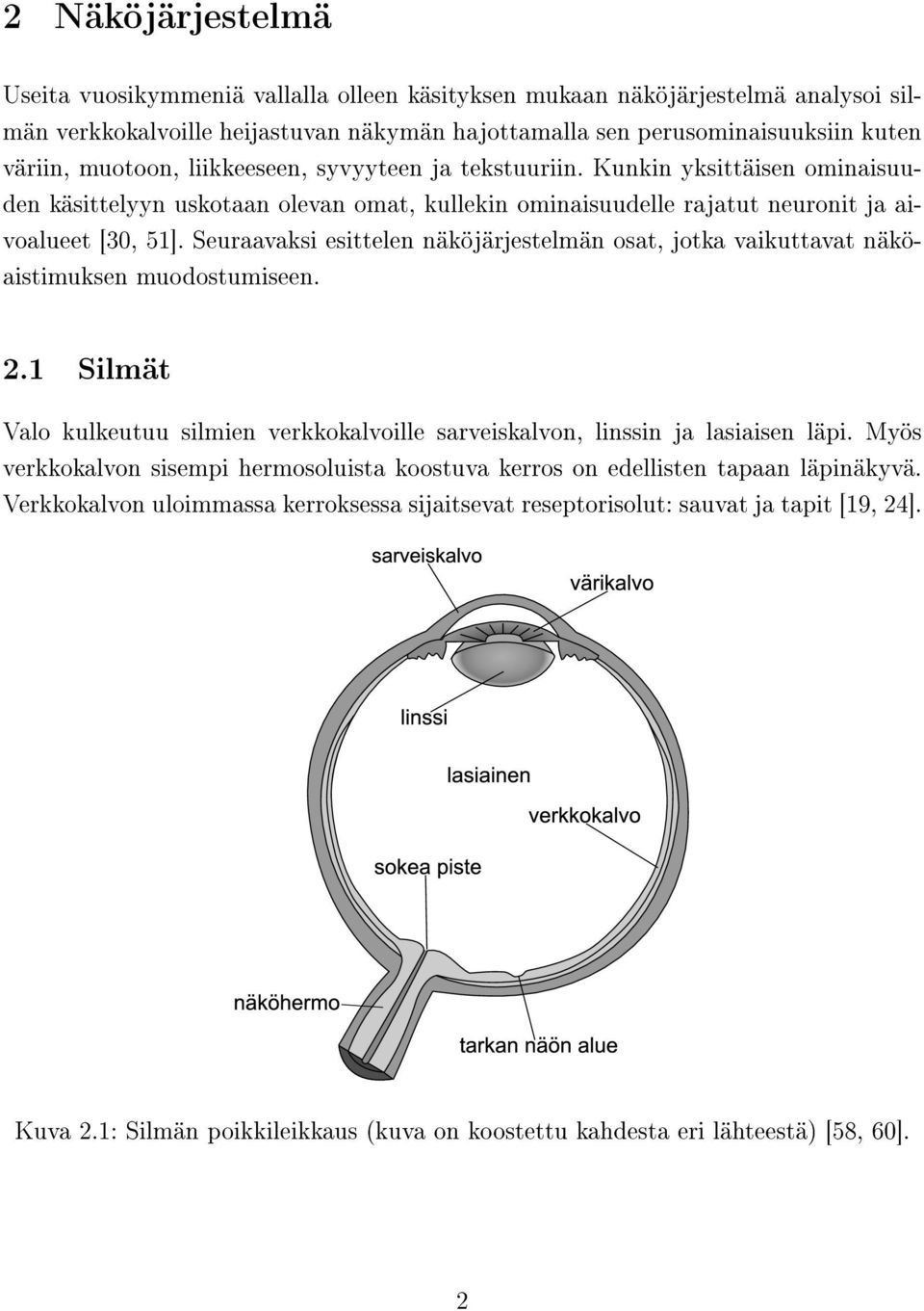 Seuraavaksi esittelen näköjärjestelmän osat, jotka vaikuttavat näköaistimuksen muodostumiseen. 2.1 Silmät Valo kulkeutuu silmien verkkokalvoille sarveiskalvon, linssin ja lasiaisen läpi.