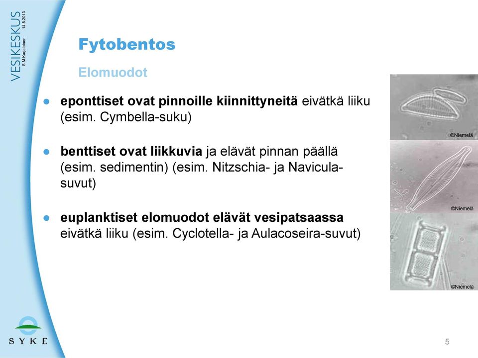 sedimentin) (esim.