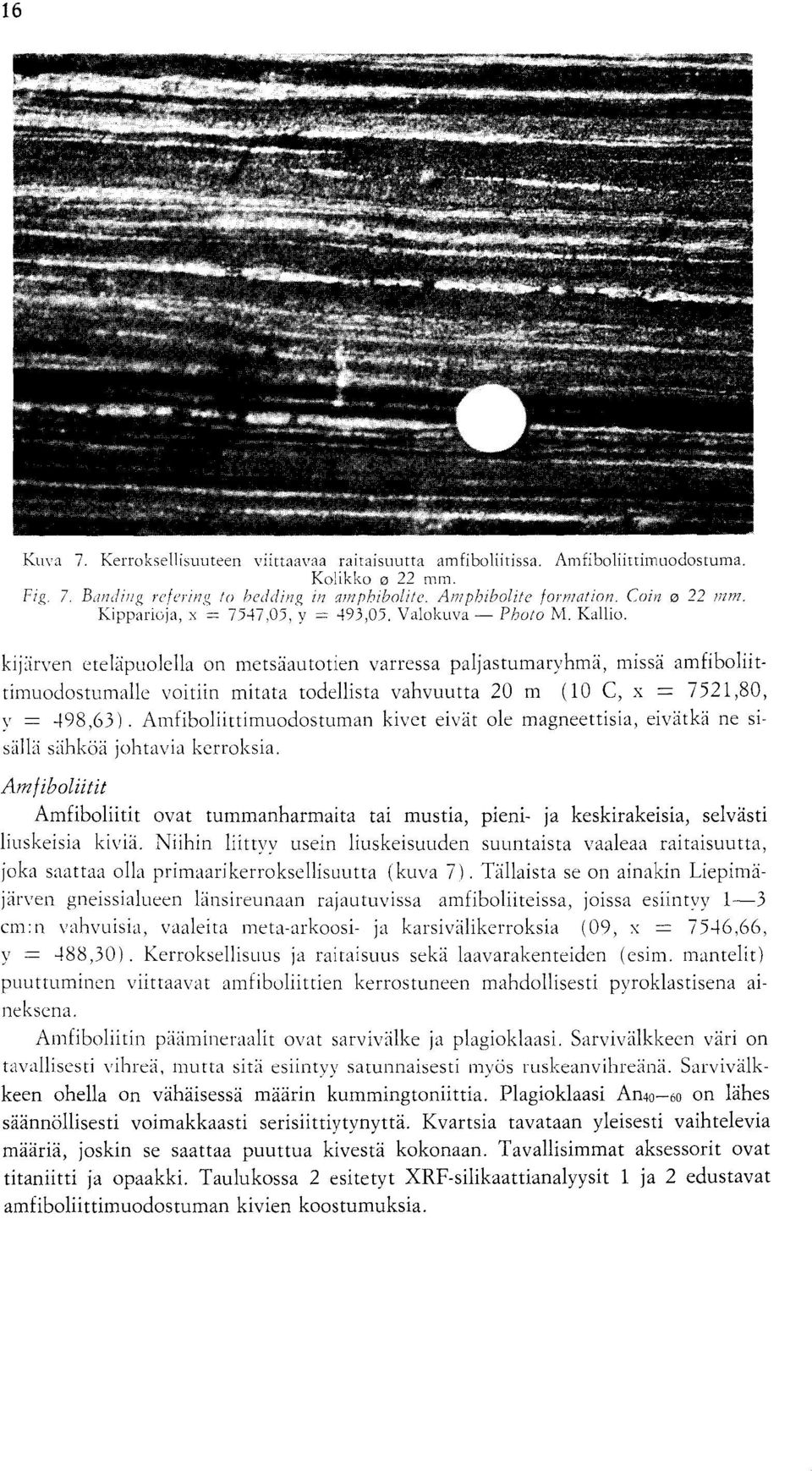 m (10 C, x = 7521,80, v = 498,63) Amfiboliittimuodostuman kivet eivat ole magneettisia, eivatka ne sisiill,i siihkoa johtavia kerroksia Am f iboliitit Amfiboliitit ovat tummanharmaita tai mustia,