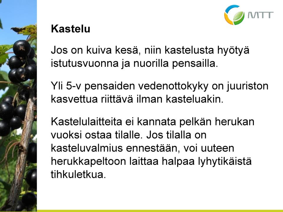 Kastelulaitteita ei kannata pelkän herukan vuoksi ostaa tilalle.
