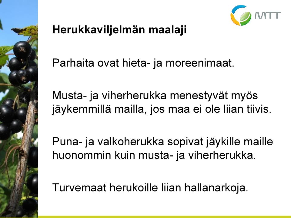 ei ole liian tiivis.