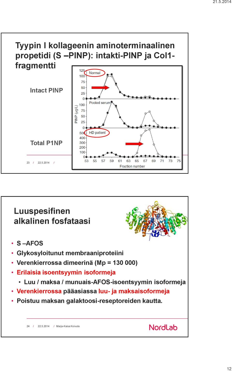 2014 / Luuspesifinen alkalinen fosfataasi S AFOS Glykosyloitunut membraaniproteiini Verenkierrossa dimeerinä