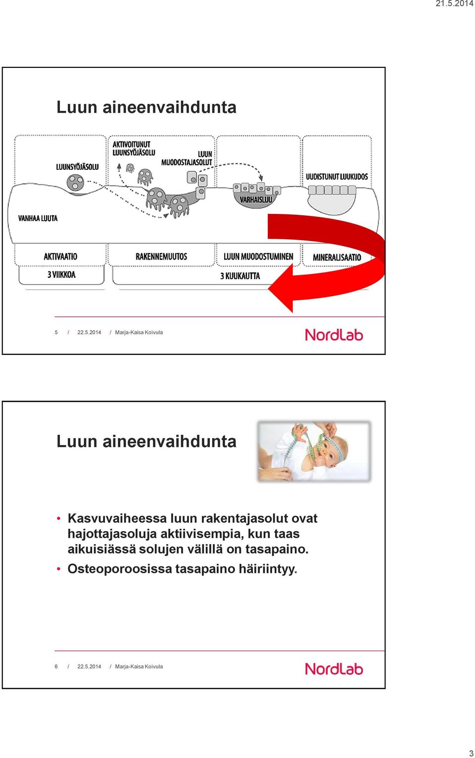 hajottajasoluja aktiivisempia, kun taas aikuisiässä