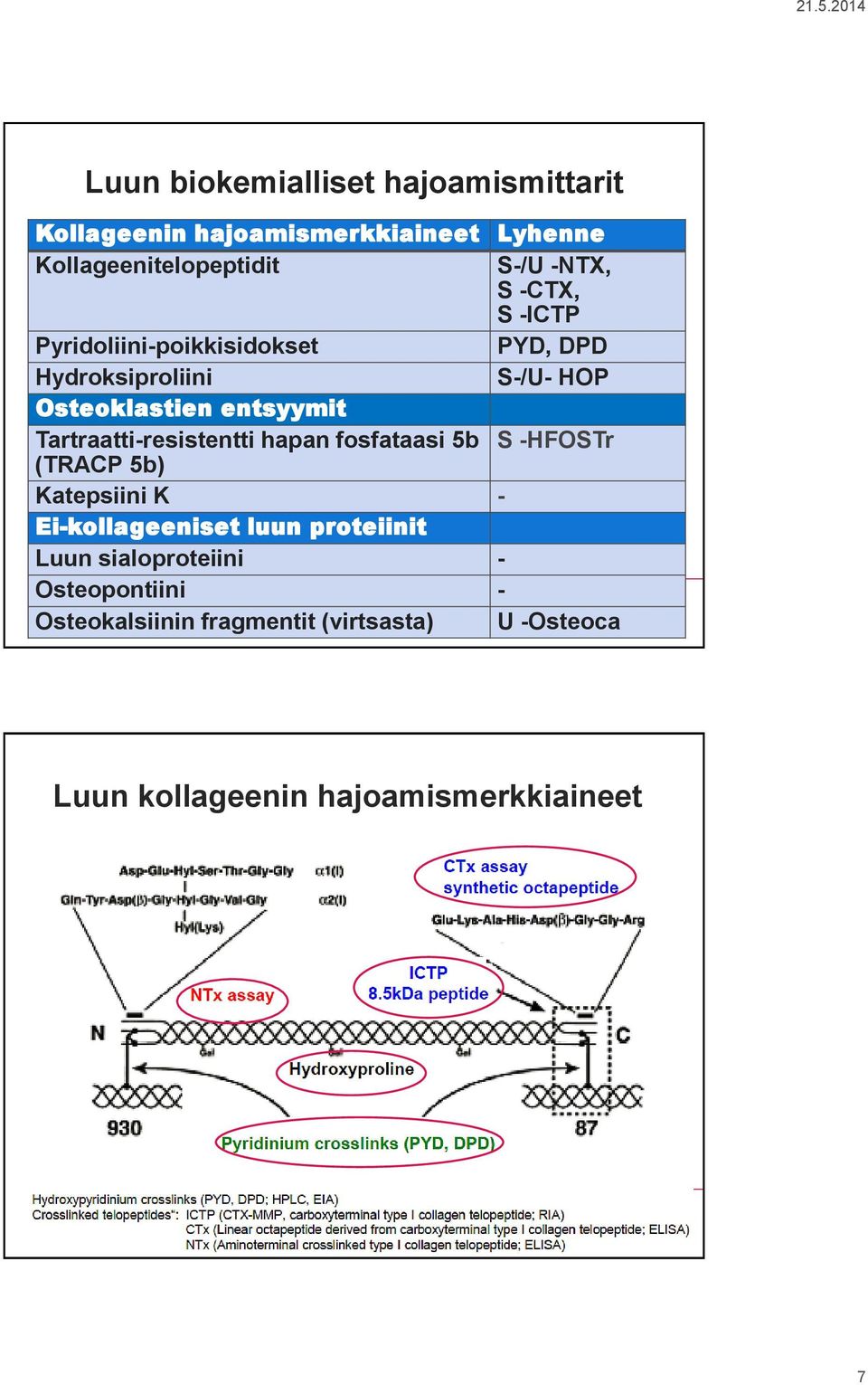 Tartraatti-resistentti hapan fosfataasi 5b S -HFOSTr (TRACP 5b) Katepsiini K - Ei-kollageeniset luun proteiinit