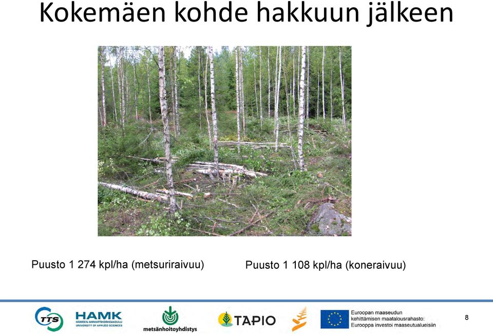kpl/ha (metsuriraivuu)