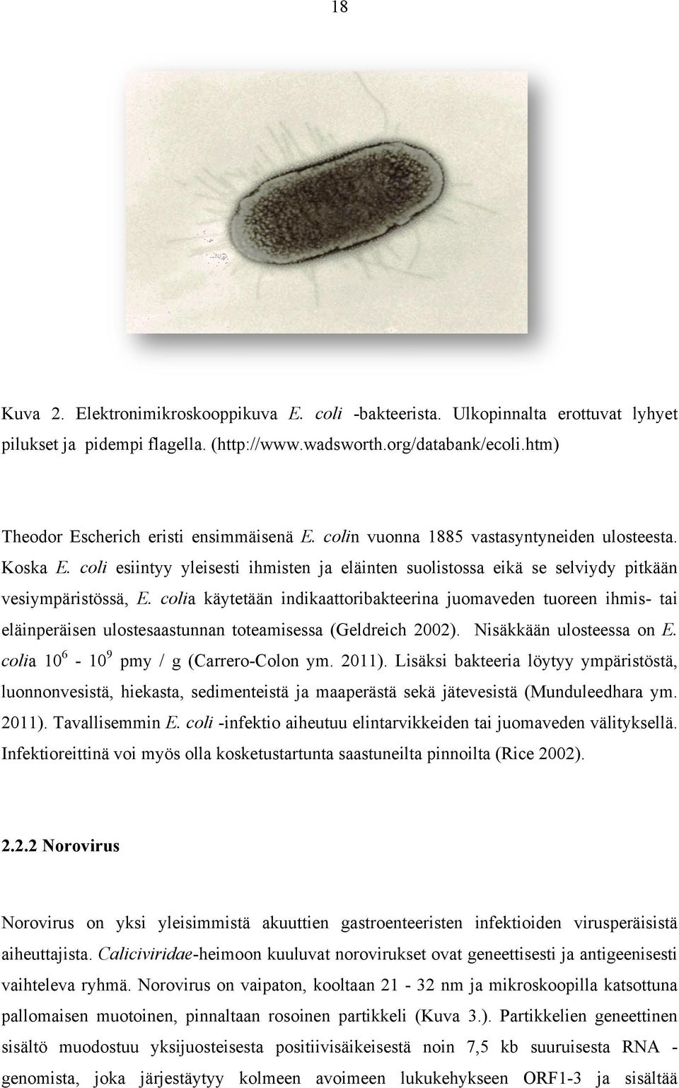 coli esiintyy yleisesti ihmisten ja eläinten suolistossa eikä se selviydy pitkään vesiympäristössä, E.